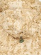 фото Женский противоэнцефалитный антимоскитный KATRAN Протект (Твил, песок КМФ) NEW