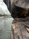 фото Комбинезон женский осенний для охоты и рыбалки KATRAN АМАЗОНКА (полофлис, Коричневый КМФ)