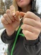 фото Комбинезон женский демисезонный для охоты и рыбалки KATRAN ОНЕГА (полофлис, ХАКИ)